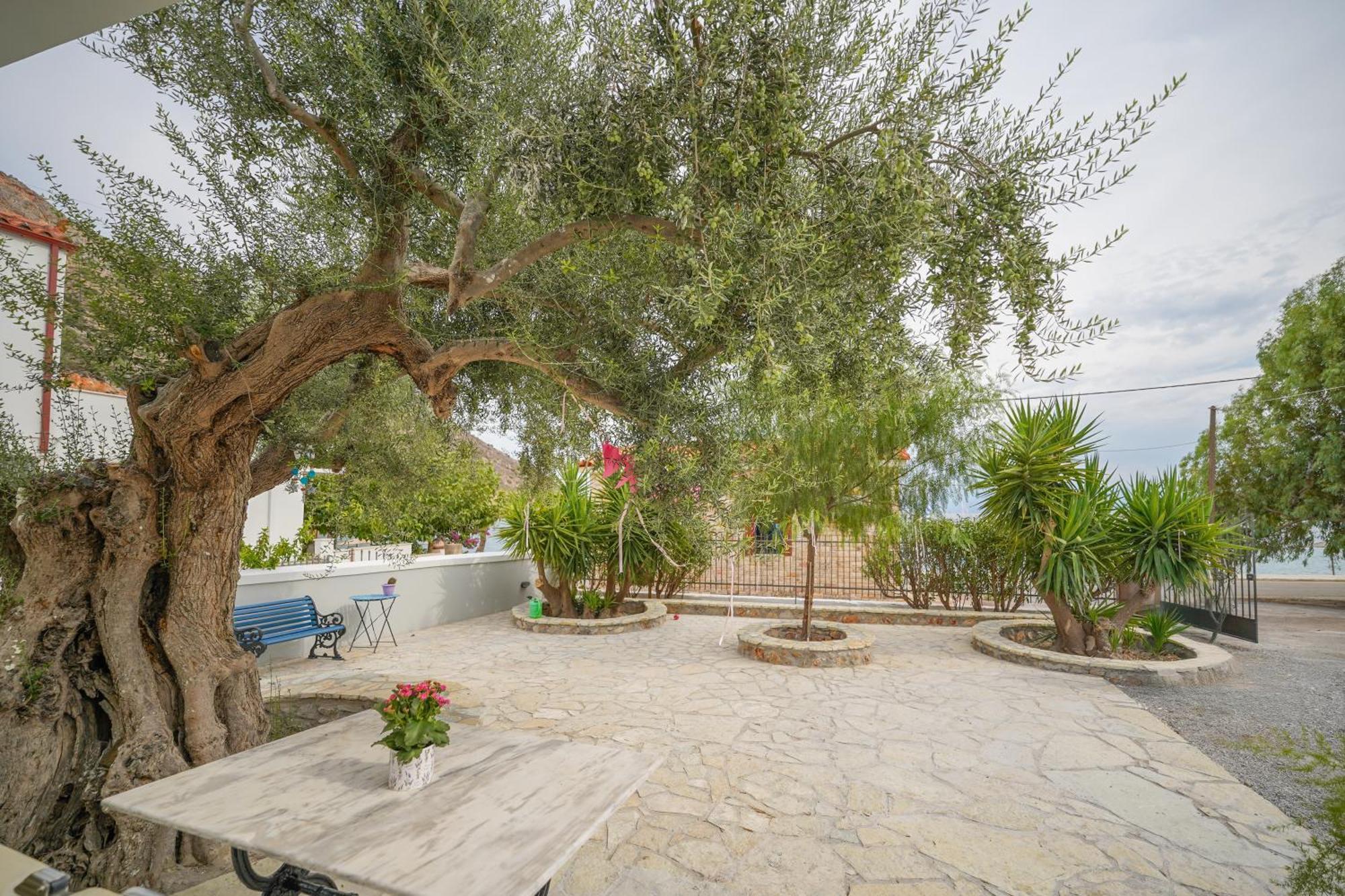Agioi Pandes Oasis Studios Ag Pantes מראה חיצוני תמונה