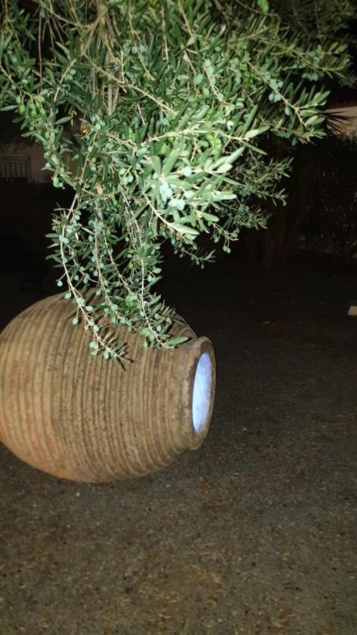 Agioi Pandes Oasis Studios Ag Pantes מראה חיצוני תמונה